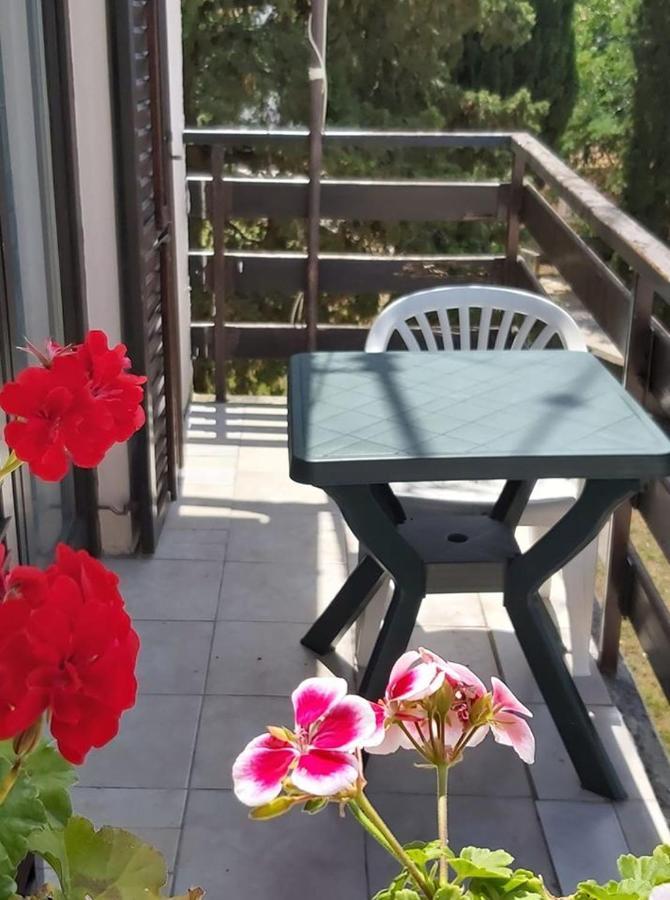 Apartmani Svitlana Sukošan Exteriér fotografie